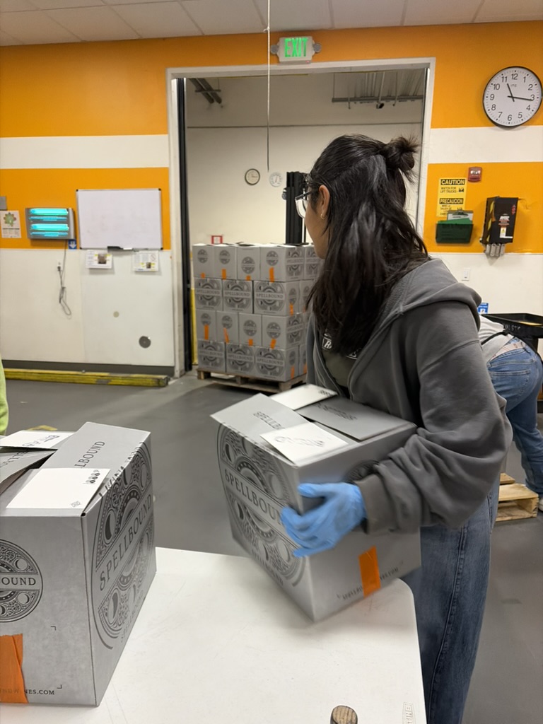 physics meets sustainability innovations in renewable energy technologies